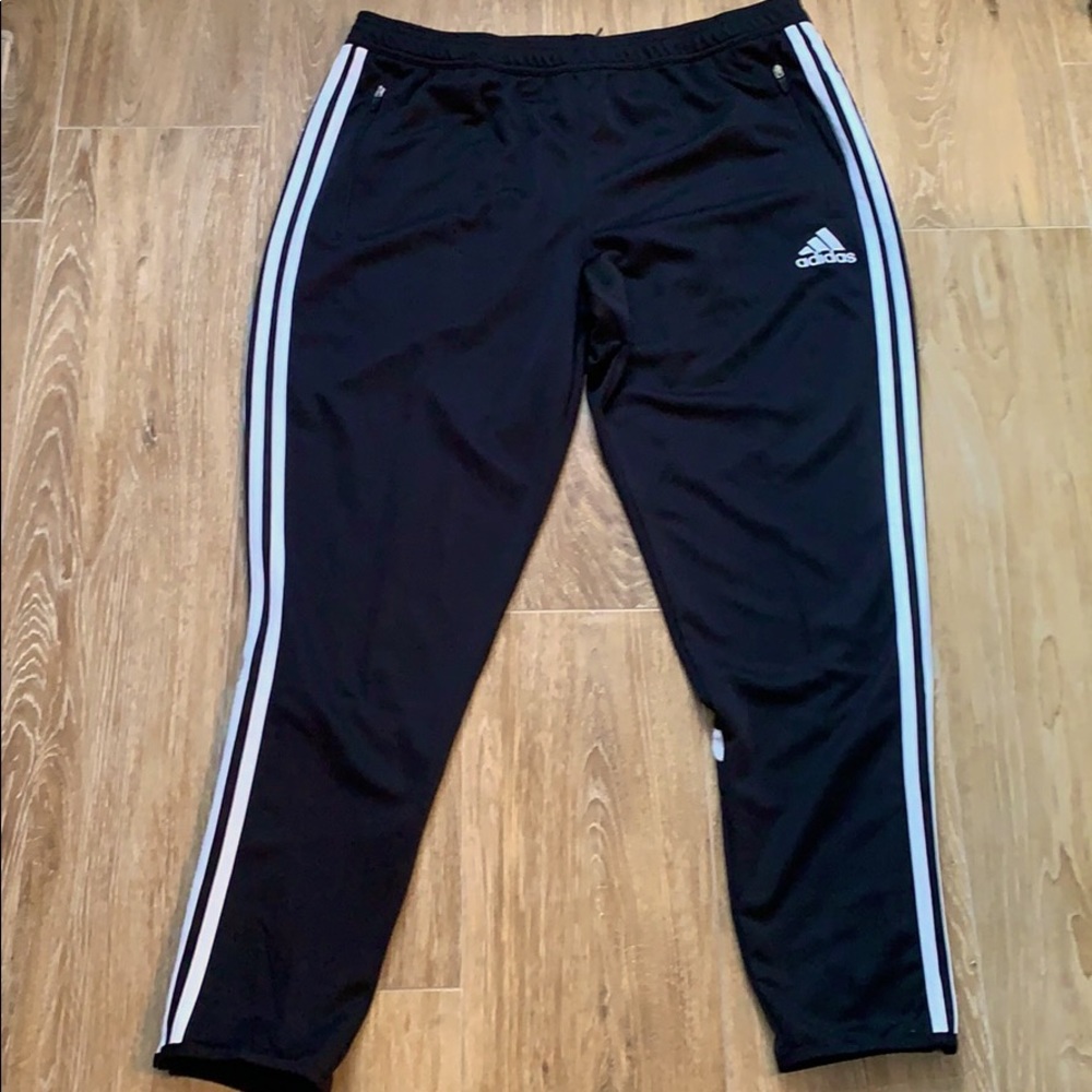 Adidas Condivo 14 Training Pant